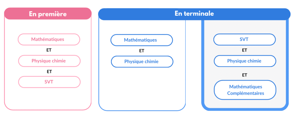 Les spécialités à choisir en première et terminale