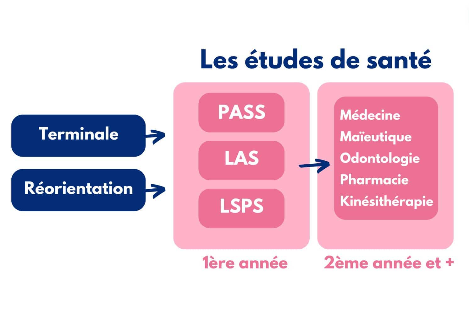 Le CPCM prépare les étudiants à la première année des études de santé pour accéder au PASS LAS LSPS